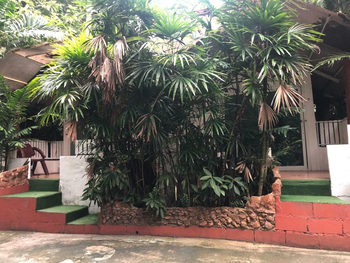 Pine Bungalow Krabi town Kültér fotó
